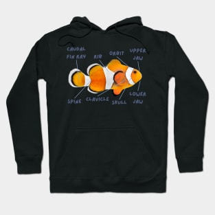 Anatomy of a Clownfish And Funny Labels Hoodie